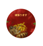 Flowers Set（個別スタンプ：5）