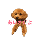 あいあいさアイサ（個別スタンプ：1）