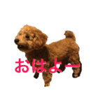 あいあいさアイサ（個別スタンプ：3）