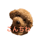 あいあいさアイサ（個別スタンプ：4）