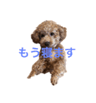あいあいさアイサ（個別スタンプ：5）