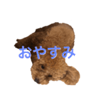 あいあいさアイサ（個別スタンプ：6）