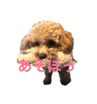 あいあいさアイサ（個別スタンプ：7）