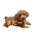 あいあいさアイサ（個別スタンプ：8）