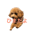 あいあいさアイサ（個別スタンプ：9）