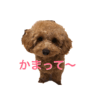 あいあいさアイサ（個別スタンプ：10）