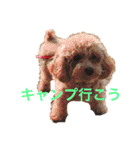 あいあいさアイサ（個別スタンプ：12）