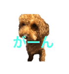 あいあいさアイサ（個別スタンプ：13）