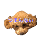 あいあいさアイサ（個別スタンプ：14）