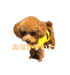 あいあいさアイサ（個別スタンプ：15）