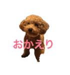 あいあいさアイサ（個別スタンプ：16）