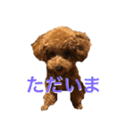 あいあいさアイサ（個別スタンプ：17）