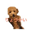 あいあいさアイサ（個別スタンプ：20）