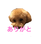 あいあいさアイサ（個別スタンプ：23）