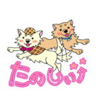 ヘッポコ探偵ちょちょりーな（個別スタンプ：26）