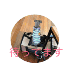イタグレの萬太郎君（個別スタンプ：10）