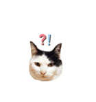 しんのすけと、ももスタンプ02（個別スタンプ：6）