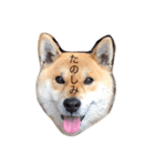 しんのすけと、ももスタンプ02（個別スタンプ：16）