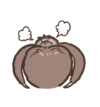 HEY！ボブス！（個別スタンプ：19）