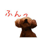 マイロ野郎（個別スタンプ：9）