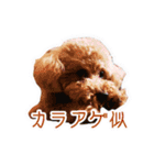 マイロ野郎（個別スタンプ：12）
