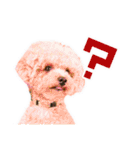 マイロ野郎（個別スタンプ：16）
