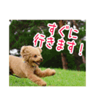 マイロ野郎（個別スタンプ：21）