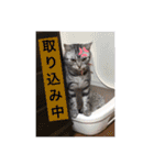 ピツオくん（個別スタンプ：13）
