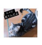 ピツオくん（個別スタンプ：20）