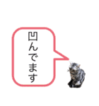 ピツオくん（個別スタンプ：24）