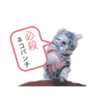 ピツオくん（個別スタンプ：26）