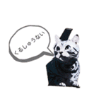 ピツオくん（個別スタンプ：34）