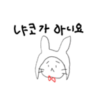 韓国のにゃこ3（個別スタンプ：15）
