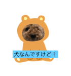もこなか（個別スタンプ：4）