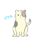 パステルキャット（個別スタンプ：1）