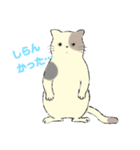 パステルキャット（個別スタンプ：4）