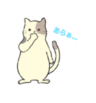 パステルキャット（個別スタンプ：8）