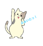 パステルキャット（個別スタンプ：10）