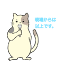 パステルキャット（個別スタンプ：11）