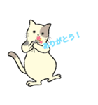 パステルキャット（個別スタンプ：12）