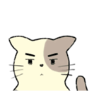 パステルキャット（個別スタンプ：16）