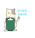 パステルキャット（個別スタンプ：17）