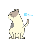 パステルキャット（個別スタンプ：20）
