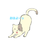 パステルキャット（個別スタンプ：25）