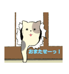 パステルキャット（個別スタンプ：34）