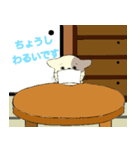 パステルキャット（個別スタンプ：36）