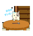 パステルキャット（個別スタンプ：37）