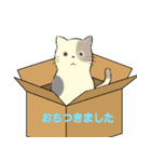 パステルキャット（個別スタンプ：40）