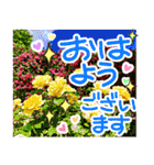 ゴージャス薔薇スタンプ「毎日よく使う」（個別スタンプ：6）