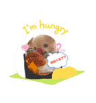 My チワワ（個別スタンプ：2）
